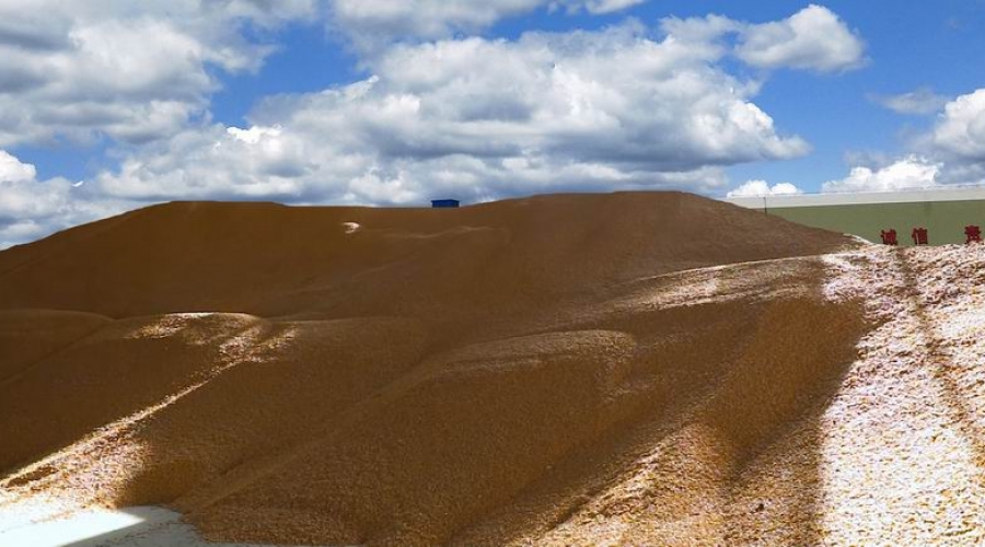 臺(tái)安稷豐糧食經(jīng)銷有限公司